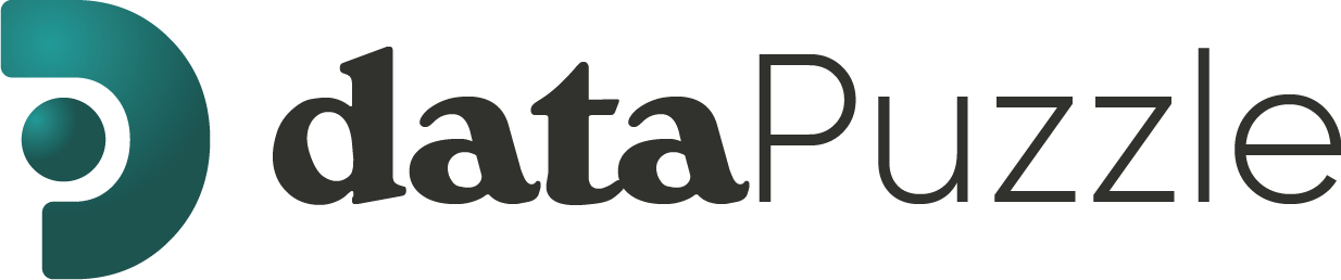 DataPuzzle